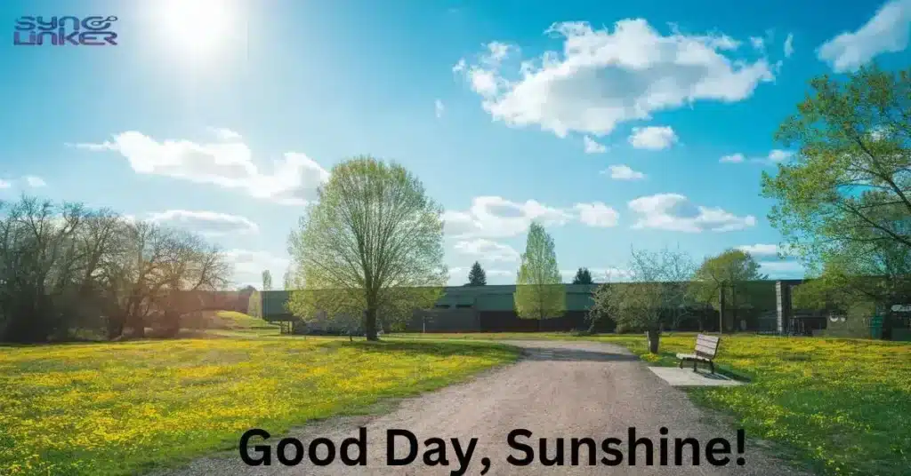 Good Day, Sunshine!