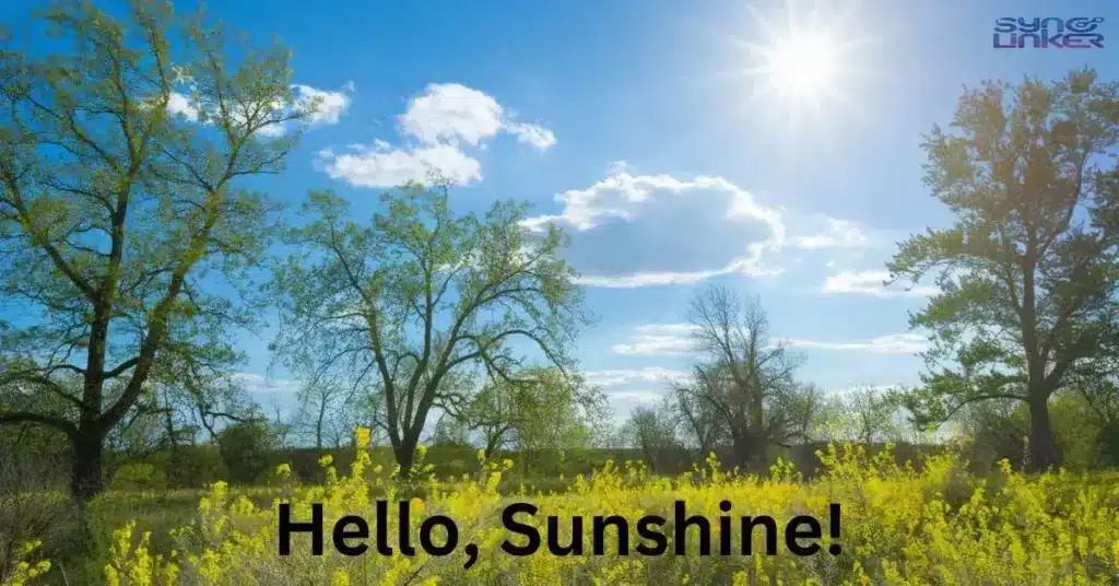 Hello, Sunshine!