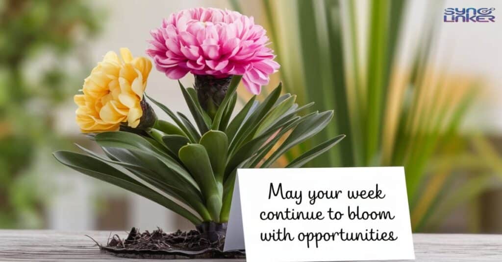 "May your week continue to bloom with opportunities"